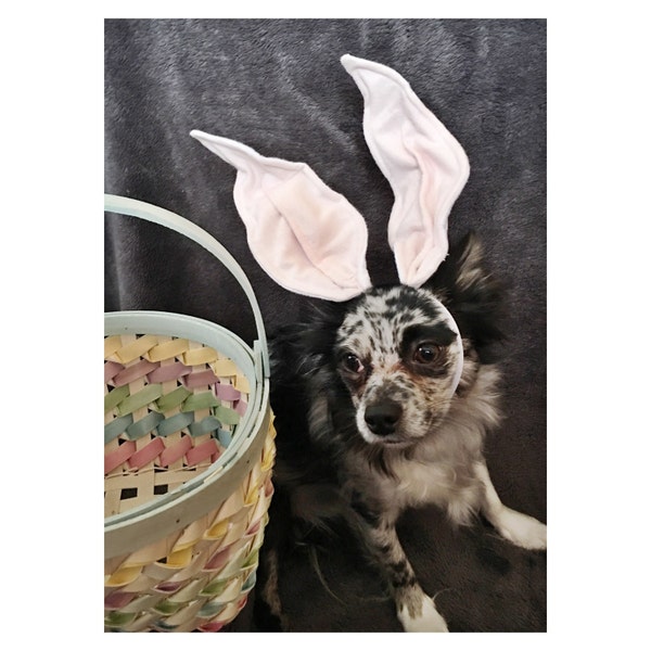 Bunny Ears for Dogs Etsy