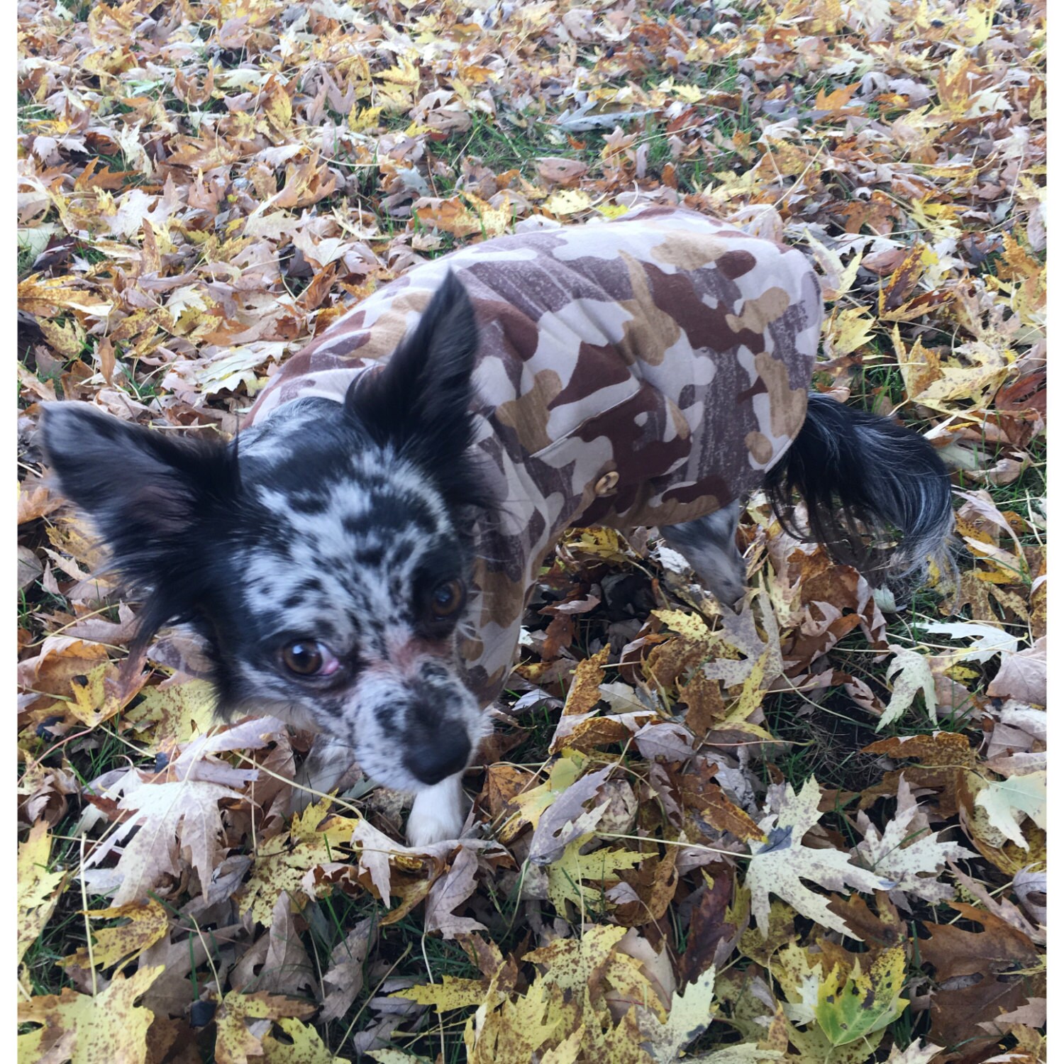 Doggie Fleece Lined Camo Coat/Pet Fleece Libed Camo Coat | Etsy
