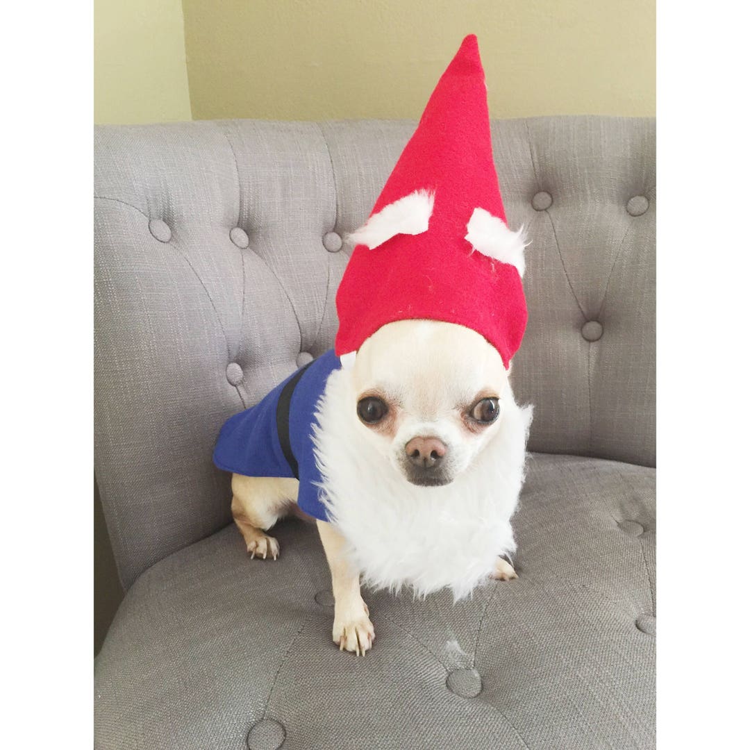 Dog Garden Gnome Costume/dog Gnome Costume/cat Garden Gnome Costume/pet