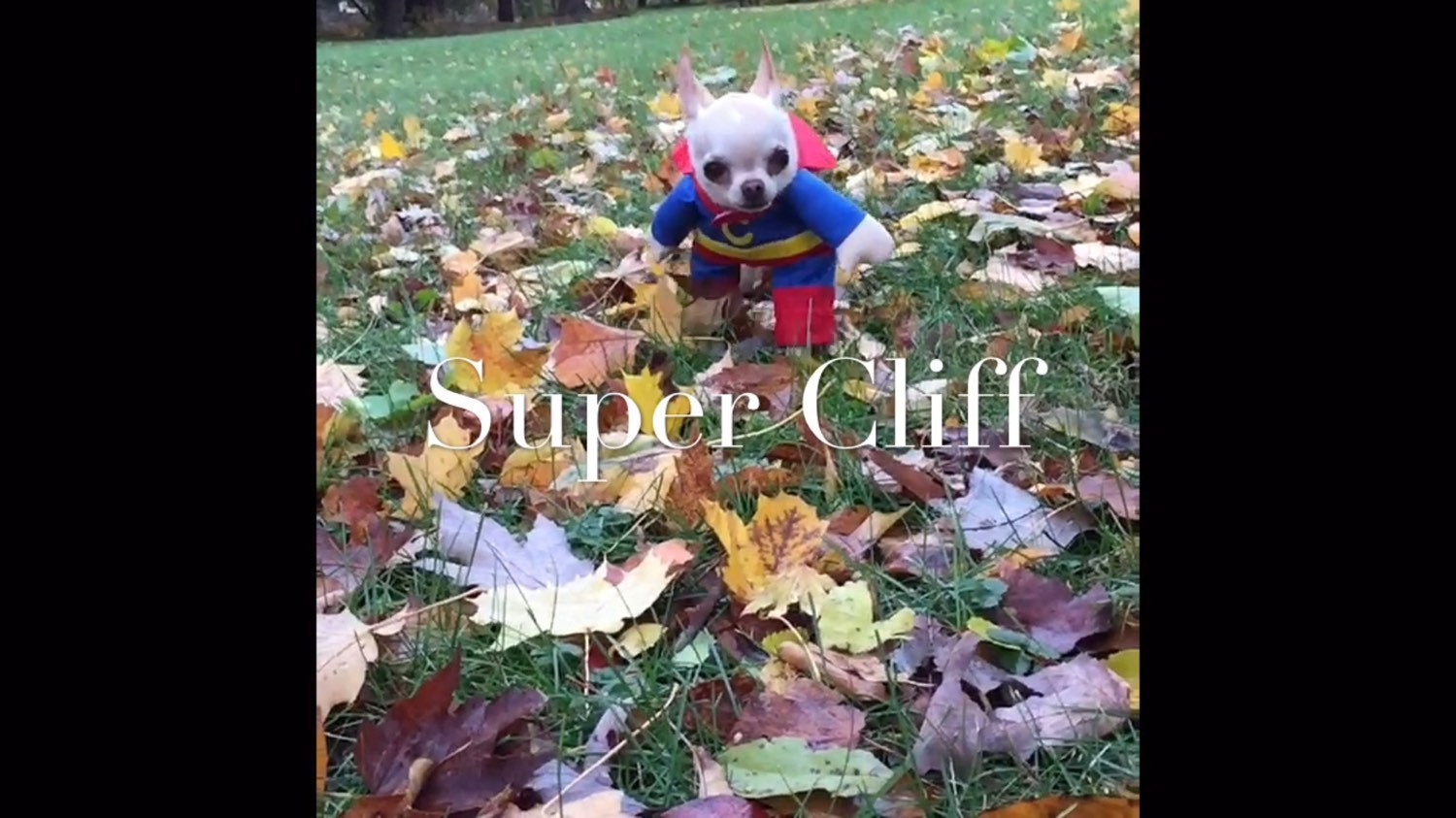 Costume Pecorina Per Bambino - Tuta Con Cappuccio, 1-12 Mesi - Foto 2