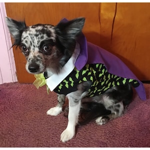 Count Dracula Costume for Dog/Cat