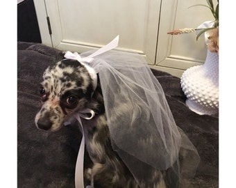 Bridal Pet Dog Cat Headdress Wedding Veil Headwear Hair Clip Grooming Tull New