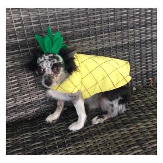 Dog Pineapple Costume, Yellow Flannel Coat, Green Felt Headpiece, Pet Halloween Outfit (Please send requested measurements)