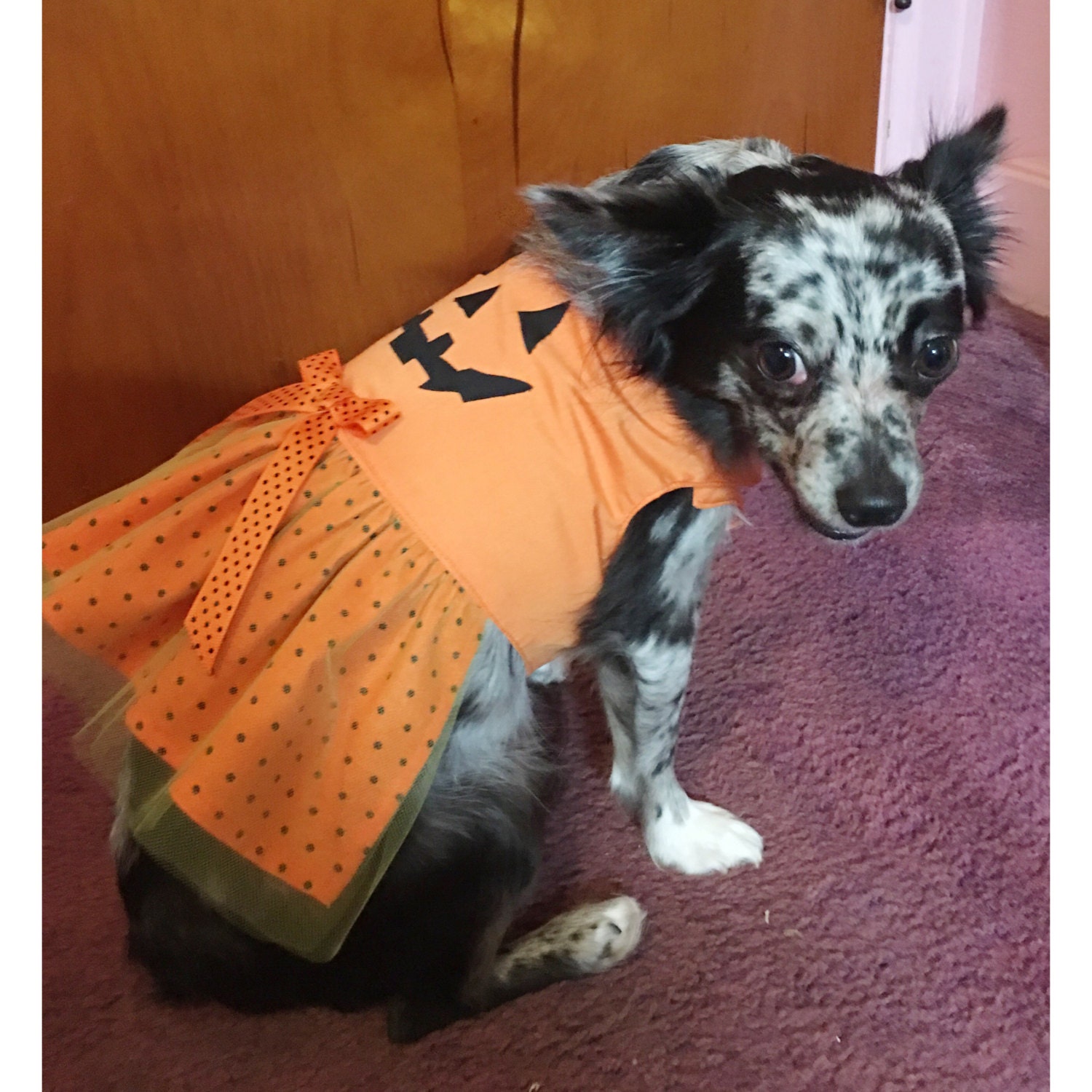 Dog Pumpkin Dress/dog Pumpkin Costume Etsy