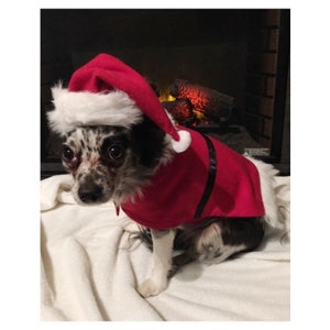Dog Santa Claus Costume/Dog Santa Outfit