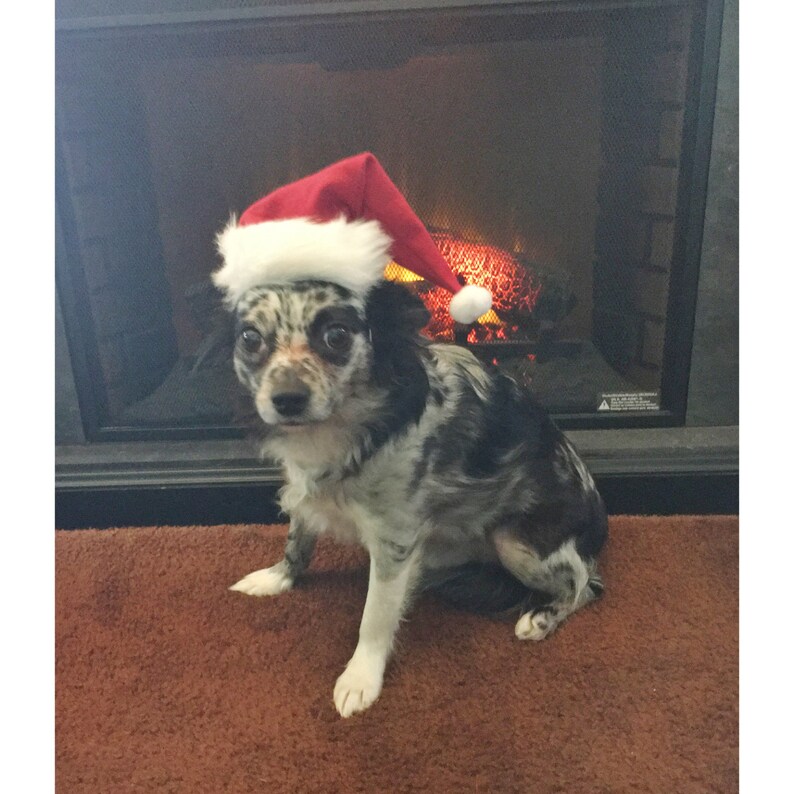 Dog Santa Hat/pet Santa Hat Etsy