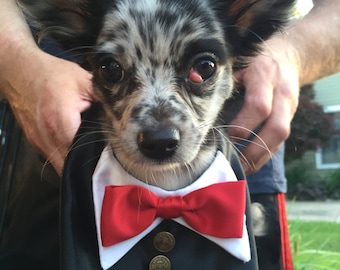 Dog Tuxedo, Dog wedding clothes