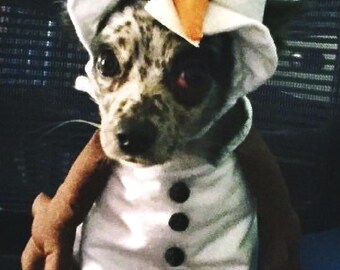 Disney Inspired Olaf Costume, Disney Inspired Olaf Dog Costume