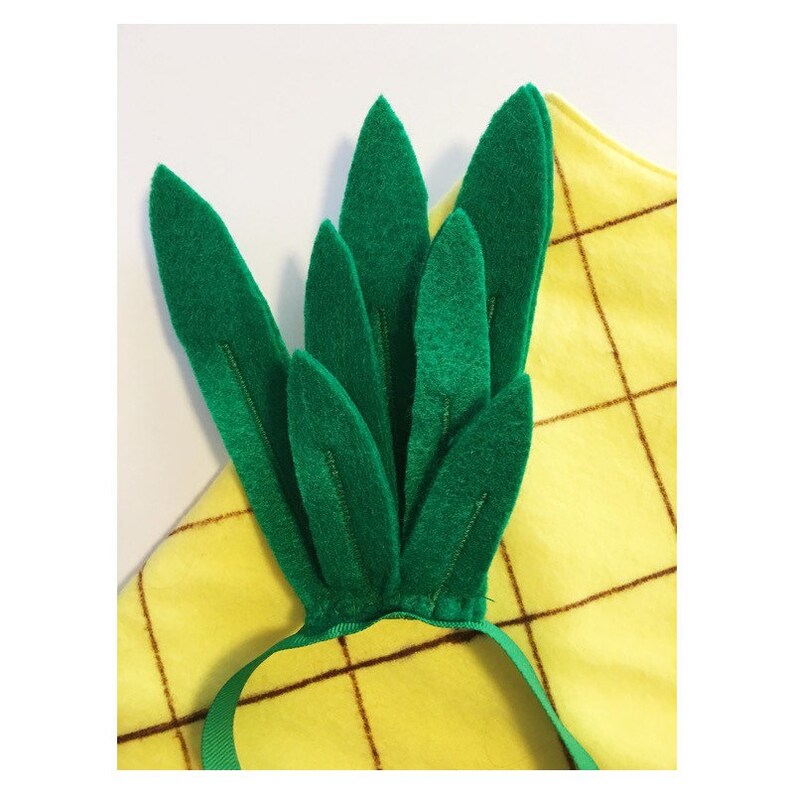 May include: A green felt pineapple leaf headband with a yellow felt pineapple base. The headband is tied with a green ribbon.