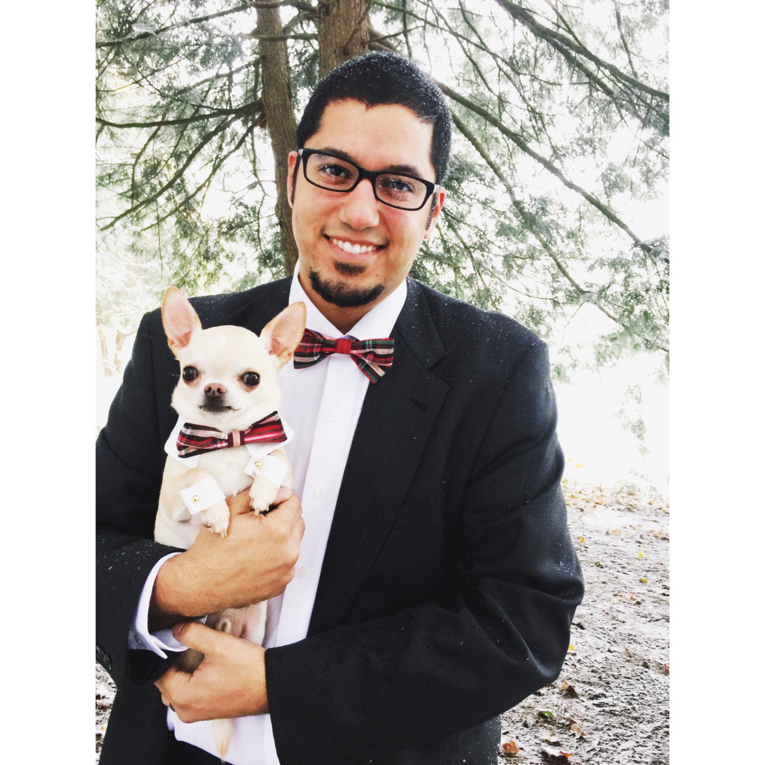Dog and Men s Matching Bow Tie Etsy Canada