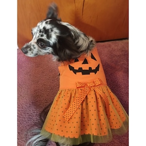 Dog Pumpkin Dress/Dog Pumpkin Costume