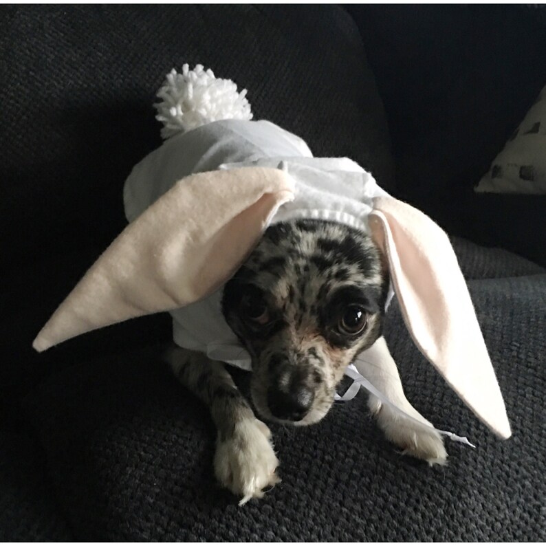 Dog Bunny Costume/Dog Easter Bunny Costume image 2