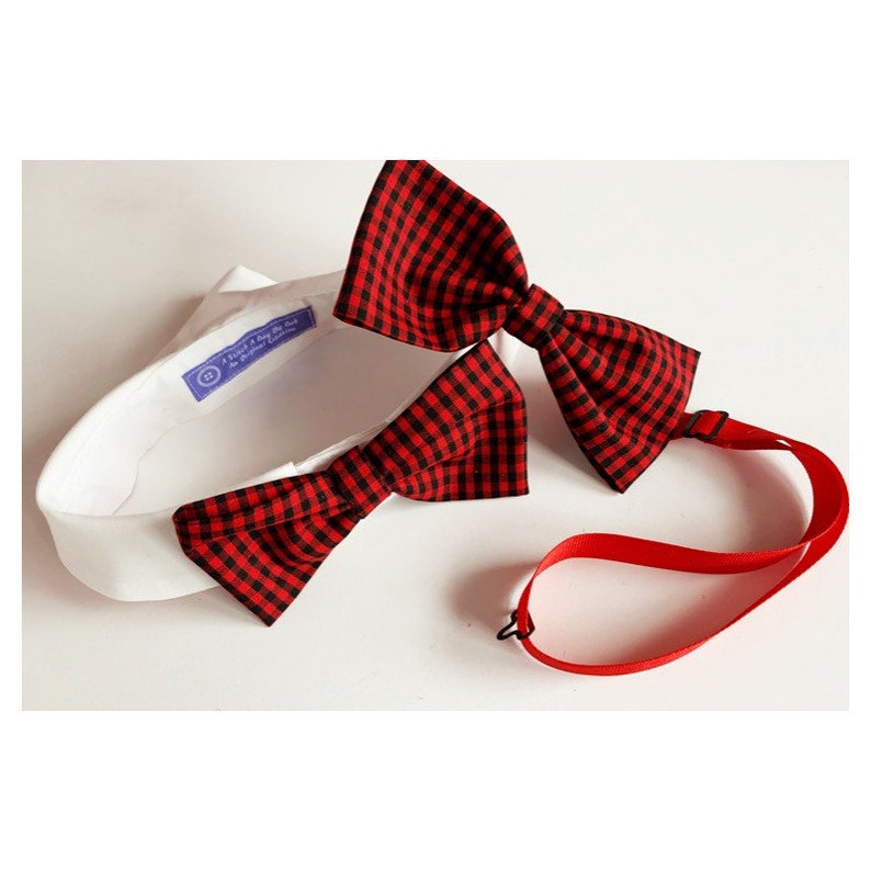 matching bow ties for dog and owner