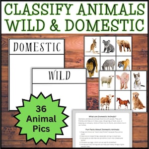 Domestic and Wild Animals Classification Sorting Mats & Fun Facts Kindergarten PreK Preschool 1st Grade Classify Science Center Activity pet