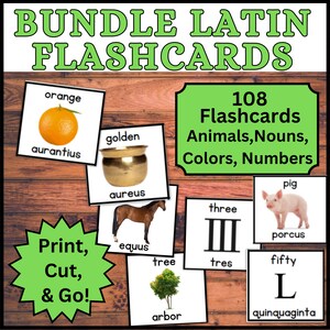 108 Flashcards em língua latina - números latinos, algarismos romanos, animais latinos, palavras do vocabulário Flash Cards, sala de aula clássica, ensino doméstico