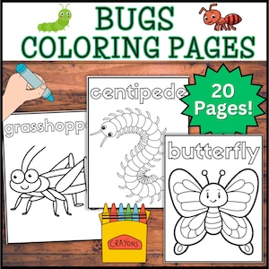 20 pages à colorier d'insectes avec des noms à colorier