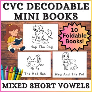 10 Printable CVC Words Mini Books, Kindergarten Fluency Reading Sight Words, Homeschool Learn To Read,  Beginner Decodable Reader Passages