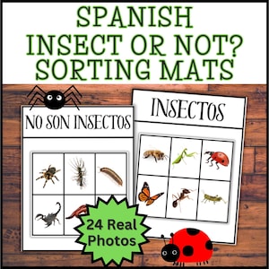 May include: Educational sorting mats in Spanish with the title "Spanish Insect or Not? Sorting Mats." The mats feature images of insects and non-insects, with the words "Insectos" and "No Son Insectos." A green starburst reads "24 Real Photos."
