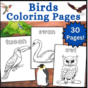 May include: A collection of bird coloring pages with the title "Birds Coloring Pages" in blue. The pages feature line drawings of a toucan, swan, owl, and penguin. The image also includes the text "30 Pages!"
