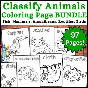 May include: A bundle of 97 animal coloring pages. The pages feature line drawings of various animals, including a toucan, axolotl, mouse, fish, chameleon, sloth, and anglerfish. The title "Classify Animals Coloring Page BUNDLE" is at the top.