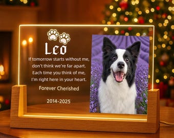 Custom Pet Memorial LED Acrylic Light - Personalized Dog Cat Photo Night Lamp with Name, Dates & Quote, Pet Loss Gift