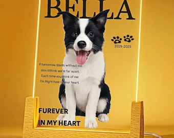 Custom Pet Memorial LED Acrylic Light - Personalized Dog Cat Photo Night Lamp with Name, Dates & Quote, Pet Loss Gift