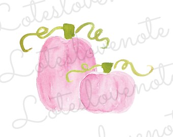 Zucche rosa dell'acquerello