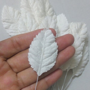 50 Big Leaf  (Size 1.25&quot;x2&quot;) Mulberry Paper Craft Leaves, Paper Leaf, White Leaf.