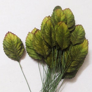 Foglie (dimensioni 1,25"x2") 100 pezzi, foglie di carta di gelso, foglie di carta, foglie verdi.