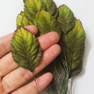 50 Big Leaf  (Size 1.25&quot;x2&quot;) Mulberry Paper Craft Leaves, Paper Leaf, Green Leaf.