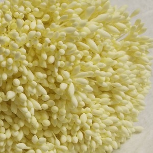 2000 Köpfe / 1000 Stück (Größe räumliche Länge 8 cm) Wassertropfenform - Künstliche Staubblätter, Fruchtblatt, cremige Blütenstempel.