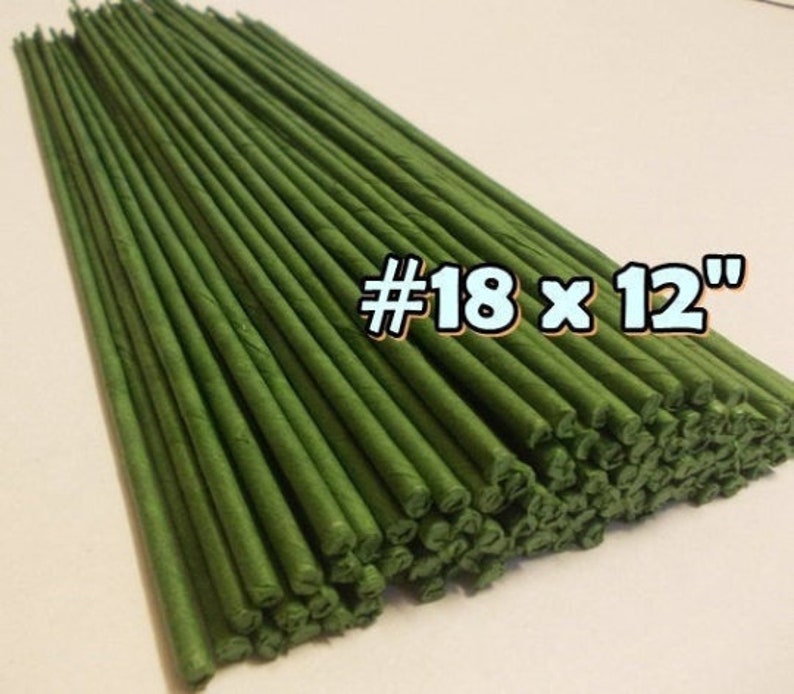 50 Stems Large-Gauge18 Length 12 X 3 mm Floral Wire Flower Stem Artificial, Artificial Stems, Floral Stem, Green Wire Stems. image 1