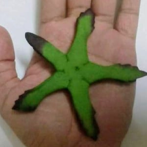 50 Sepal ( Size 4&quot; ) Mulberry Paper Sepal, Calyx, Green.