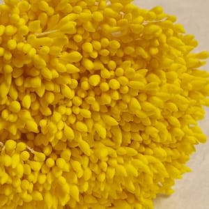 500 頭/250 個 (サイズ、空間長さ 8 cm) 水滴形状 - 人工雄しべ、心皮、黄色、帽子用花の雄しべ。