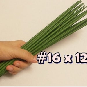 Puede incluir: Un paquete de 16 tallos florales verdes, cada uno mide 30,5 cm de largo. #16 x 12"