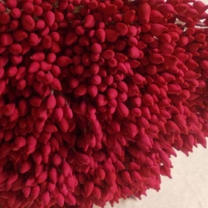 500 cabezas/250 piezas (tamaño longitud espacial 8 cm) Forma de gotas de agua: estambre artificial, carpelo, estambres de flores de sombrerería fucsia oscuro.