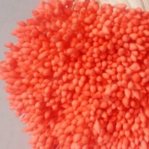 500 Köpfe / 250 Stück (Größe räumliche Länge 8 cm) Wassertropfenform - Künstliche Staubblätter, Karpel, Korallenblütenstaubblätter.