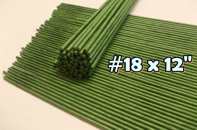 Saktopdeco 21.6 Inch Floral Stems Wire Green Paper Wrapped Wire  18 Gauge 20 Gauge 24 Gauge for Crafts Flower Arrangement : Arts, Crafts &  Sewing