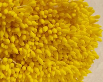 500 Heads/250 Pcs (Size spacial length 8 cm) Water Droplets Shape -- Artificial Stamen, Carpel, Yellow, Millinery Flower Stamens.