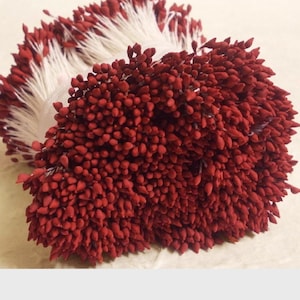 2000 Köpfe / 1000 Stück (Größe räumliche Länge 8 cm) Wassertropfenform - Künstliche Staubblätter, Karpel, Kastanienbraune Blütenstempel.