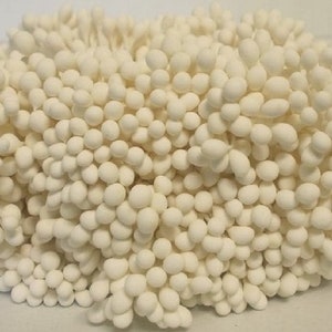 2000 Köpfe / 1000 Stück (Größe Länge 6 cm) Runde Form - Künstliche Staubblätter, Karpel, weiße Blütenstaubblätter.