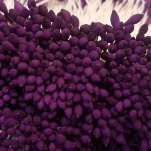 500 cabezas/250 piezas (tamaño longitud espacial 8 cm) Forma de gotas de agua: estambre artificial, carpelo, estambres de flores de sombrerería de color púrpura ciruela.
