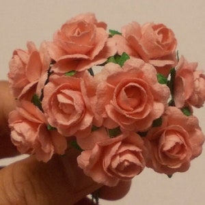 30 flores de papel (tamaño 0,65"), manualidades de papel color morera, mini rosas, bodas, eventos, manualidades con flores de papel para bodas, rosas de papel color coral.