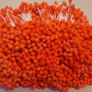 2000 Köpfe 1000 Stück (Größe Länge 6 cm) Runde Form - Künstliche Staubblätter, Karpel, Mandarine Blumenstaubblätter.