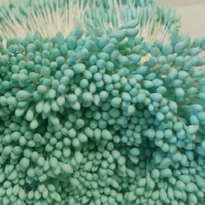 2000 Köpfe 1000 Stück (Größe räumliche Länge 8 cm) Wassertropfenform - Künstliche Staubblätter, Fruchtblatt, aquablaue, blassfarbene Blütenstempel.