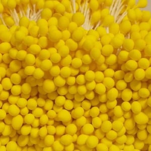 500 頭/250 個 (サイズ長さ 6 cm) 丸型 - 人工雄しべ、心皮、黄色の帽子用花の雄しべ。