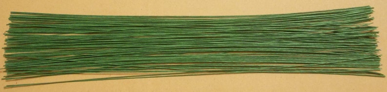 Floral Wire Flower Stem Artificial Floral Stem Length 12 X 1 mm Artificial Stems Gauge#22-- Wire Stems,100 PCS Green Wire Stems.