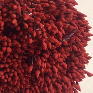 500 Köpfe / 250 Stück (Größe räumliche Länge 8 cm) Wassertropfenform - Künstliche Staubblätter, Karpel, Kastanienbraun, Hutmacherblumenstaubblätter.