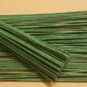 May include: A bundle of green floral wire, labeled #24. The wire is thin and flexible, ideal for crafting and floral arrangements.