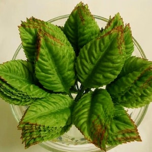 100 Big Leaf (Size 1.5&quot;x2.5&quot;) Fabric Craft Leaves, Leaf Satin, Fabric Craft Flower, Green Leaf.